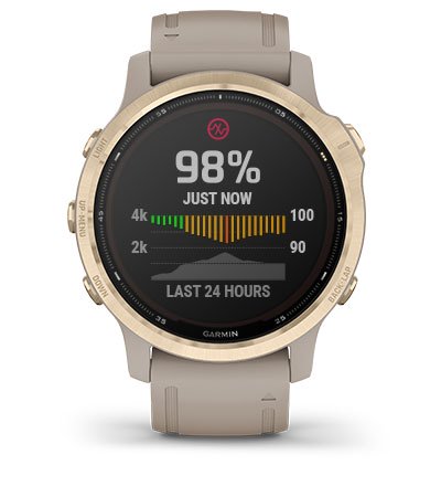 Przewaga Garmin Fenix 6S Solar Srebrny z czarnym paskiem [010-02409-00]